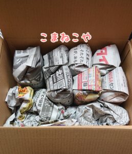 日本花キ流通さんで購入した多肉