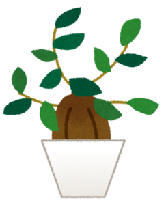 観葉植物のイラスト